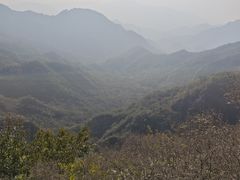-大岭沟猕猴桃谷风景区