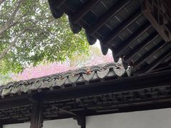 -八大山人梅湖景区