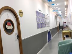 -澳洲袋鼠早教(南二环店)