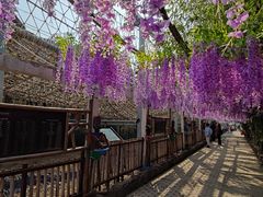 -呀路古热带植物园