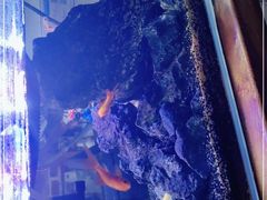 -三个大叔烤羊肉串·炭炉砂锅菜(西三旗店)