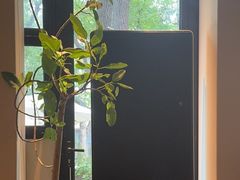 -BOCATA 西班牙餐厅(三里屯店)