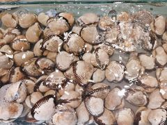 -海天盛宴新派海鲜自助餐厅(群力店)