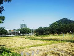 -红山村