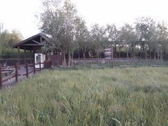 -西青郊野公园