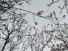-灞河西岸滨河公园