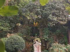 -杭州黄龙洞