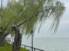 -阳澄湖半岛旅游度假区