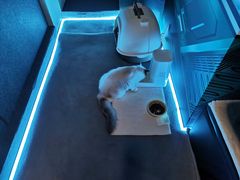 -零纪元VR体验馆·桌游(黄浦店)