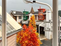 -Blue Concept Cafe&Farm·關於藍