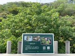 -福道