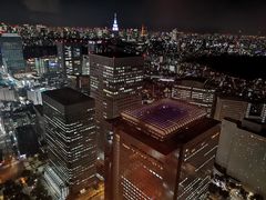 -东京都厅舍
