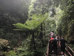 -赤水丹霞旅游区·佛光岩