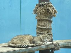 -青藏高原野生动物园