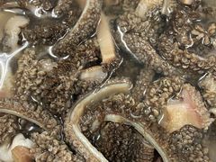 鲜毛肚-德顺斋爆肚涮肉馆·烧烤·羊蝎子·清真炒菜(马驹桥店)