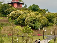 -东莞植物园