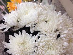 -上海市龙华烈士陵园