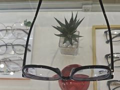 -目上眼镜·蔡司依视路授权(青浦宝龙店)