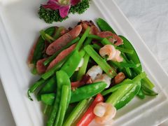 -云中小雅