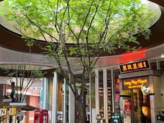 -黑胶星球(华发中城商都店)