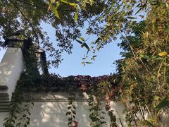 -青果巷历史文化街区