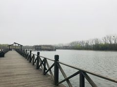 -溱湖国家湿地公园