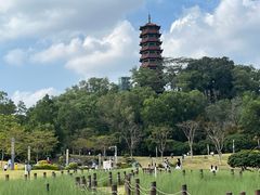 -红花山公园