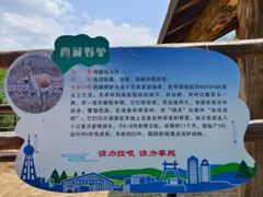 -青藏高原野生动物园