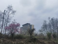 -樱桃山旅游景区