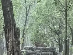 -秦皇岛野生动物园