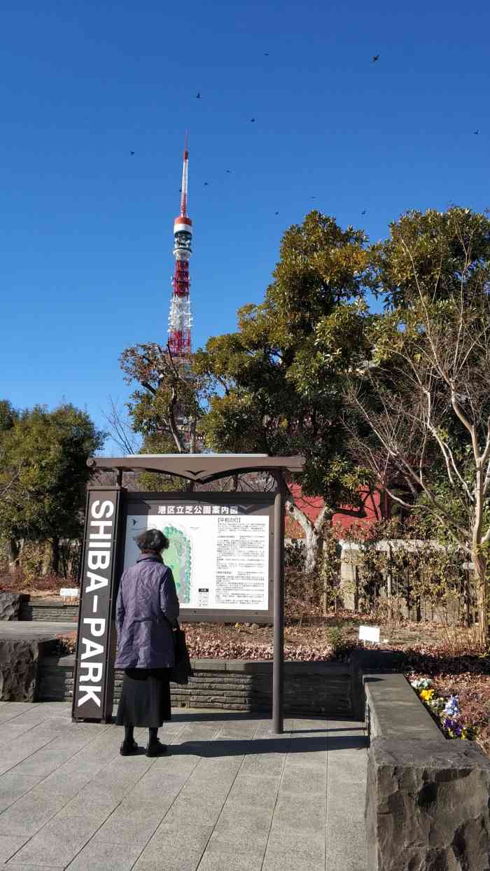 芝公园-"芝公园,距离东京塔很近,公园宁静安逸,初."-大众点评移动版