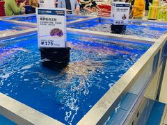 -盒马X会员店(上海森兰商都店)