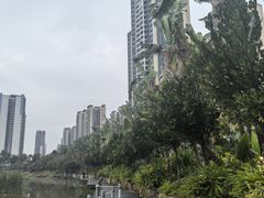 -中澳友谊花园