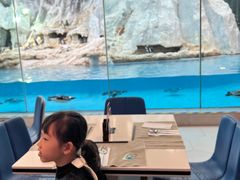 -帝企鹅自助餐厅•儿童岛•真企鹅(长隆企鹅酒店)