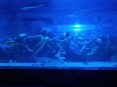 -成都浩海立方海洋公园