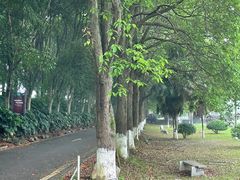 -千龙湖生态旅游度假区