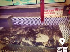 -山河屯铁锅炖鲜鹅·东北菜(开发区一店)