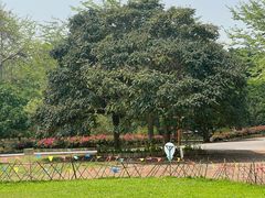 -中国科学院西双版纳热带植物园