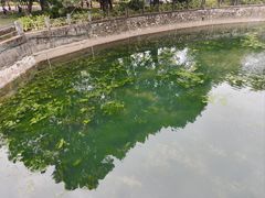 -晓港公园