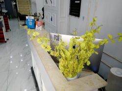-DL HAIR SALON