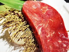 -汉城馆·烤肉火锅餐厅·韩国烤肉(河北云瑧世纪大饭店)