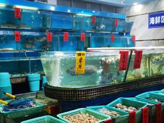 -海大大蒸汽海鲜餐厅·粤菜·特色小炒(欢乐颂店)