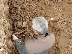 -解家河南菜(商鼎路店)