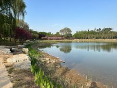 -永定河休闲森林公园