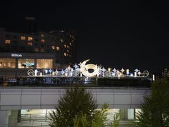 -台场海滨公园船码头