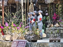 -海南槟榔谷黎苗文化旅游区