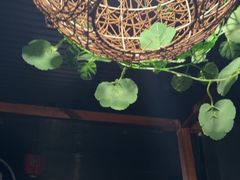 -日本料理神拉面
