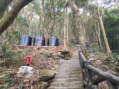 -梧桐山风景名胜区