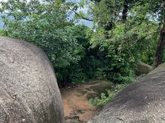 -火炉山森林公园