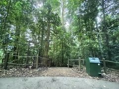 -武吉知马自然保护区